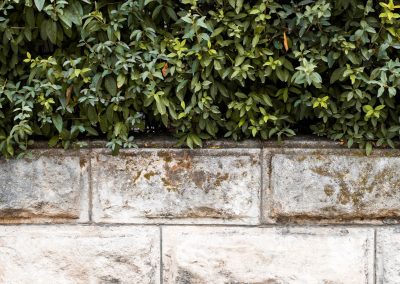 garden wall
