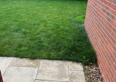 landscaping